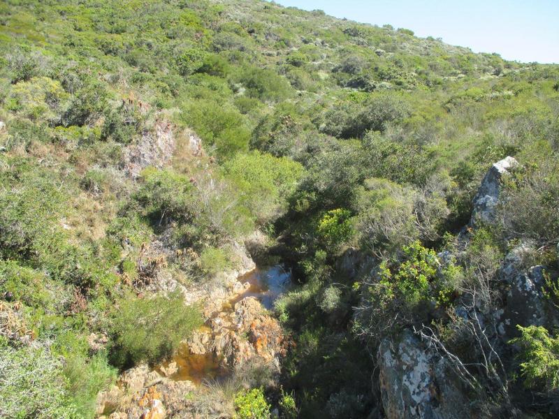 0 Bedroom Property for Sale in Nautilus Bay Western Cape